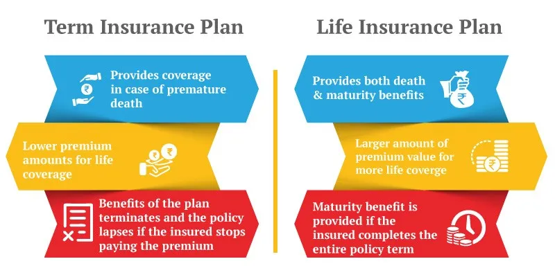 Best Term Life Insurance